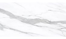 Prestigio Staturio Poli R. 60X120