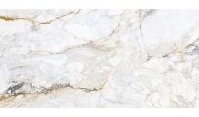 Pisa Gold Mate G.60X120 